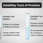 Solubility Tests of Proteins Principle, Procedure, Result, Application
