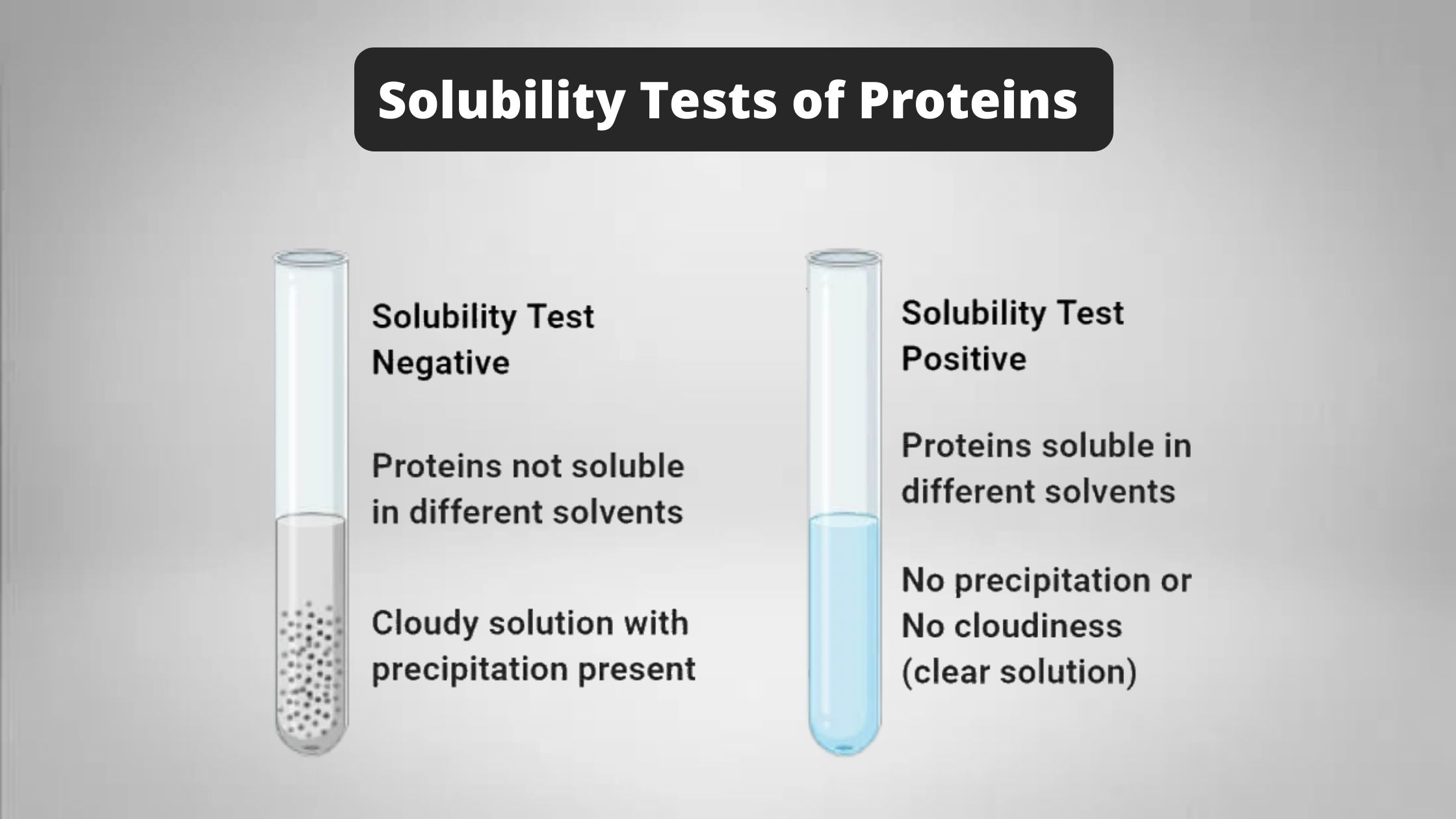 Solubility Tests of Proteins Principle, Procedure, Result, Application
