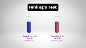 Fehling's Test Principle, Procedure, Result