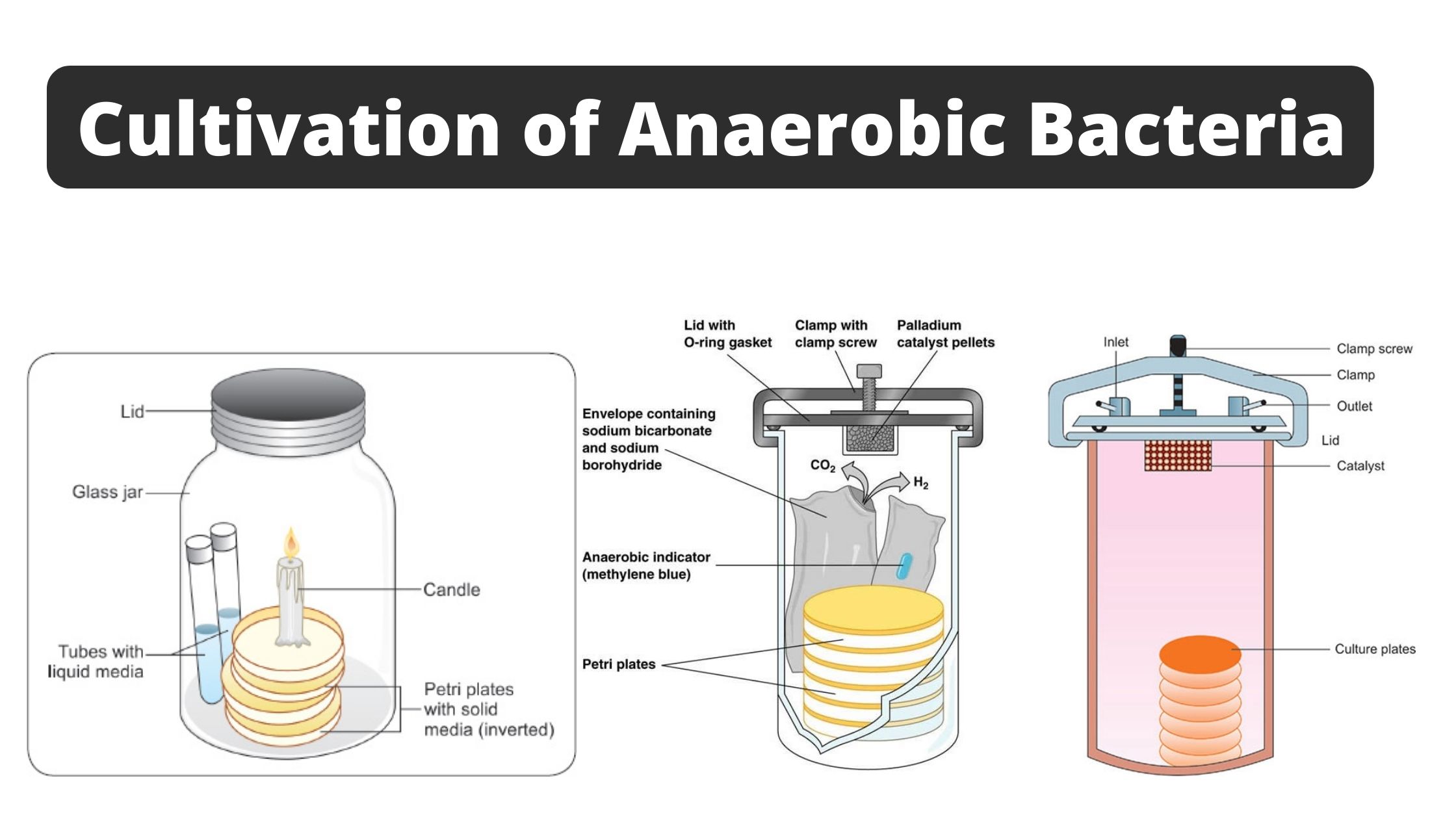 Cultivation of Anaerobic Bacteria