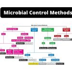Microbial Control Methods