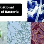 Nutritional types of bacteria: Classification of bacteria based on Nutritional Requirement