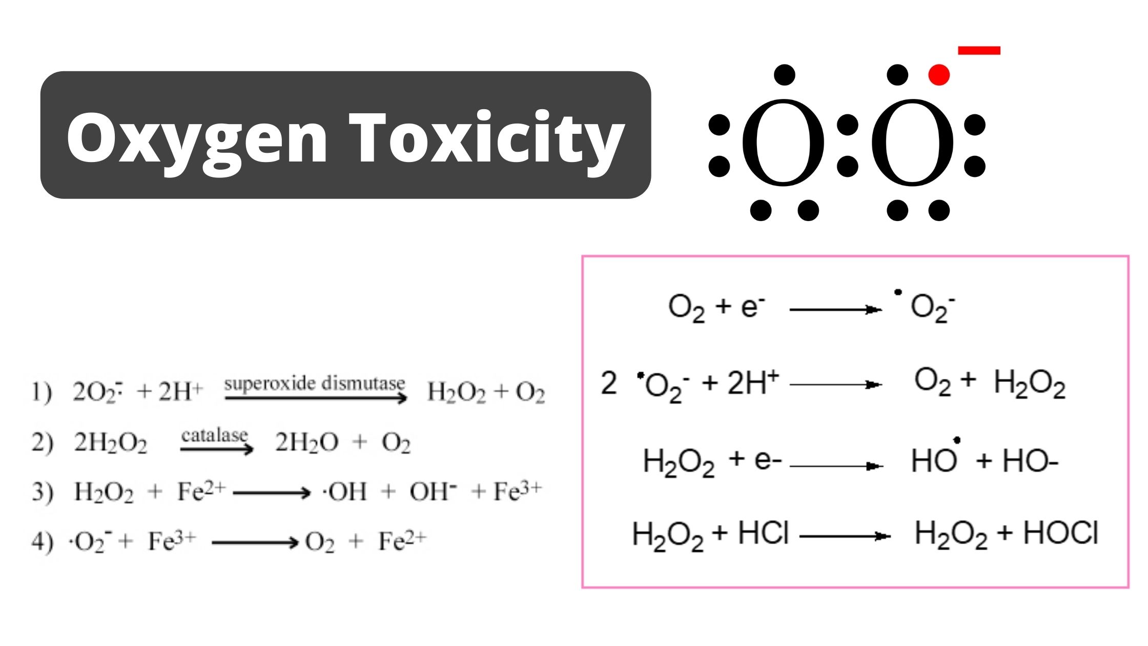 Oxygen Toxicity - Mechanism, Damages, Protective Mechanism