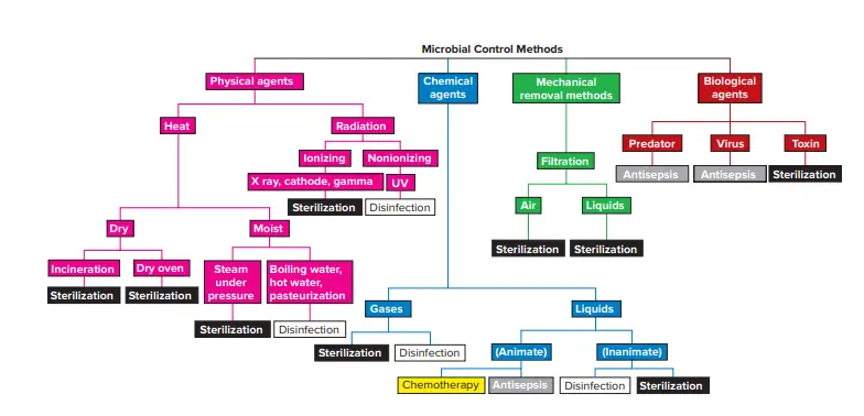 Microbial Control Methods chart