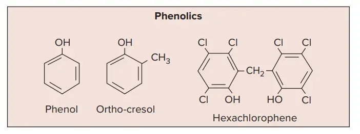 Phenol and phenolic compounds