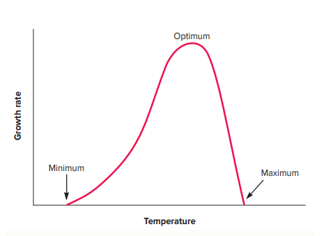 Effect of Temperature on Bacterial Growth