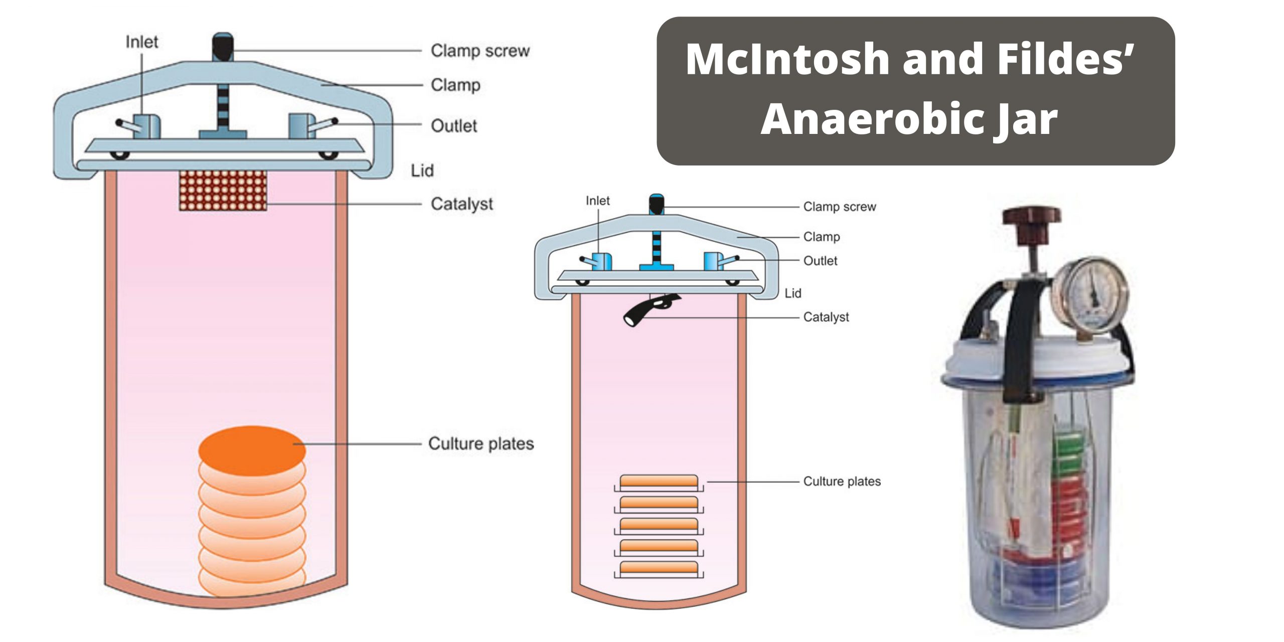 McIntosh and Fildes’ Anaerobic Jar Principle, Procedure