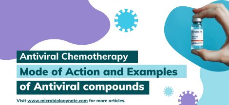 Antiviral Chemotherapy