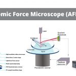 Atomic Force Microscope (AFM) - Definition, Principle, Application