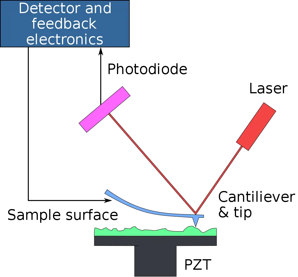 How does an atomic force microscope work?