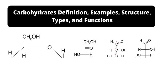 Carbohydrates Definition, Examples, Structure, Types, and Functions