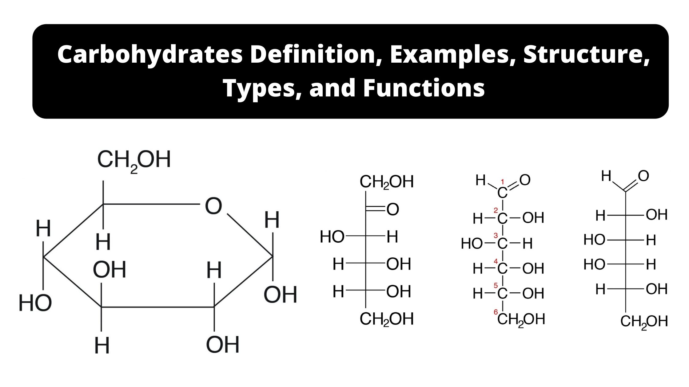 Carbohydrates Definition, Examples, Structure, Types, and Functions