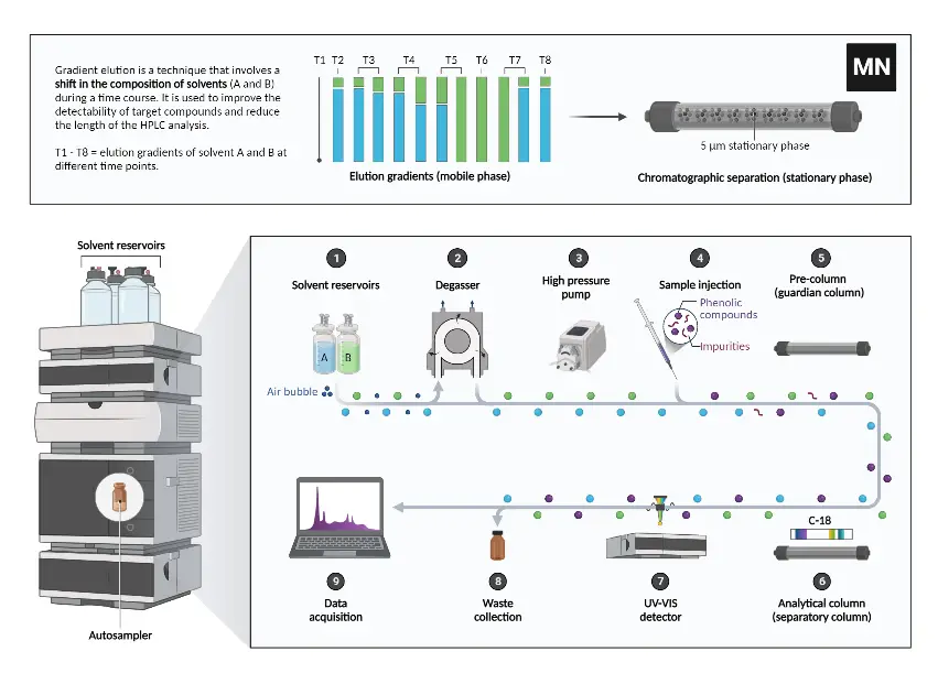 Components and Steps of High-performance Liquid Chromatography (HPLC) Analysis

