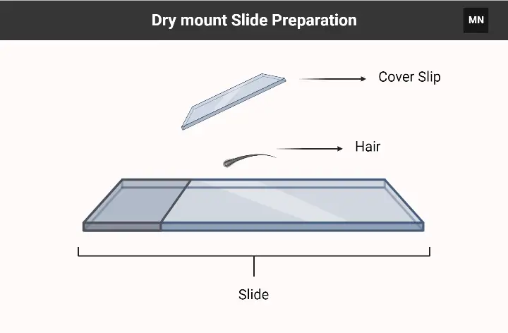 Dry mount Slide Preparation