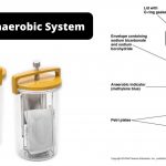 GasPak Anaerobic System Principle, Application
