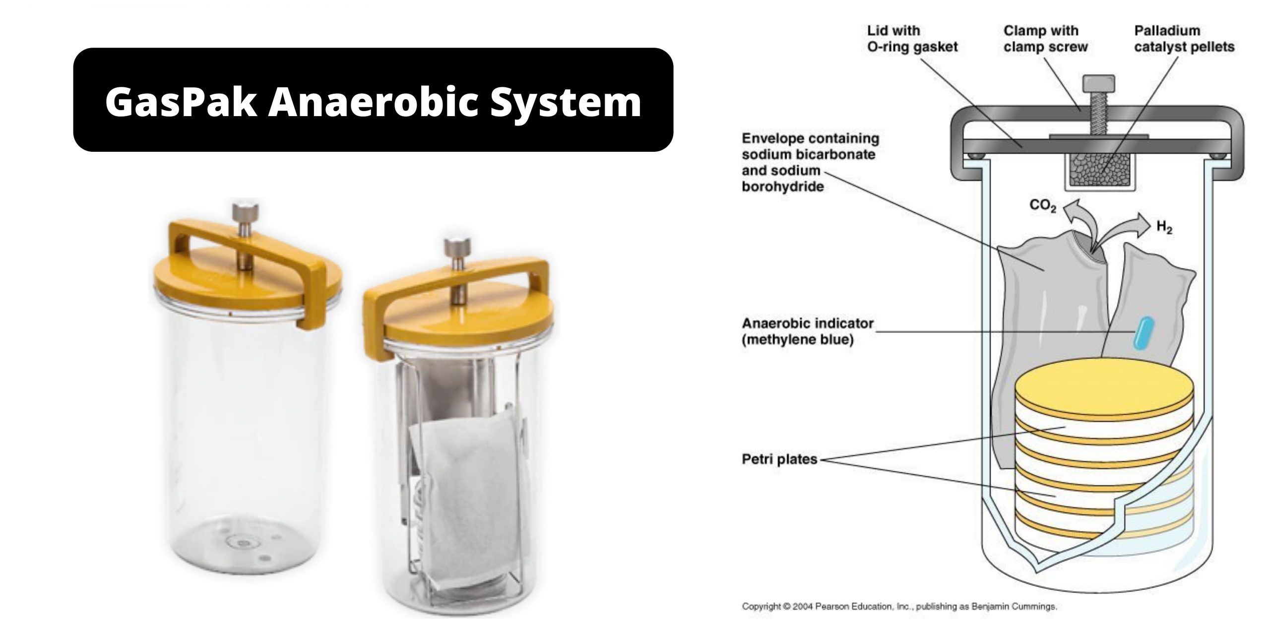 GasPak Anaerobic System Principle, Application
