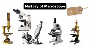 History of the Microscope