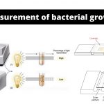 Measurement of Bacterial Growth