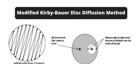 Modified Kirby-Bauer Disc Diffusion Method