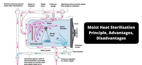 Moist Heat Sterilization Principle, Advantages, Disadvantages