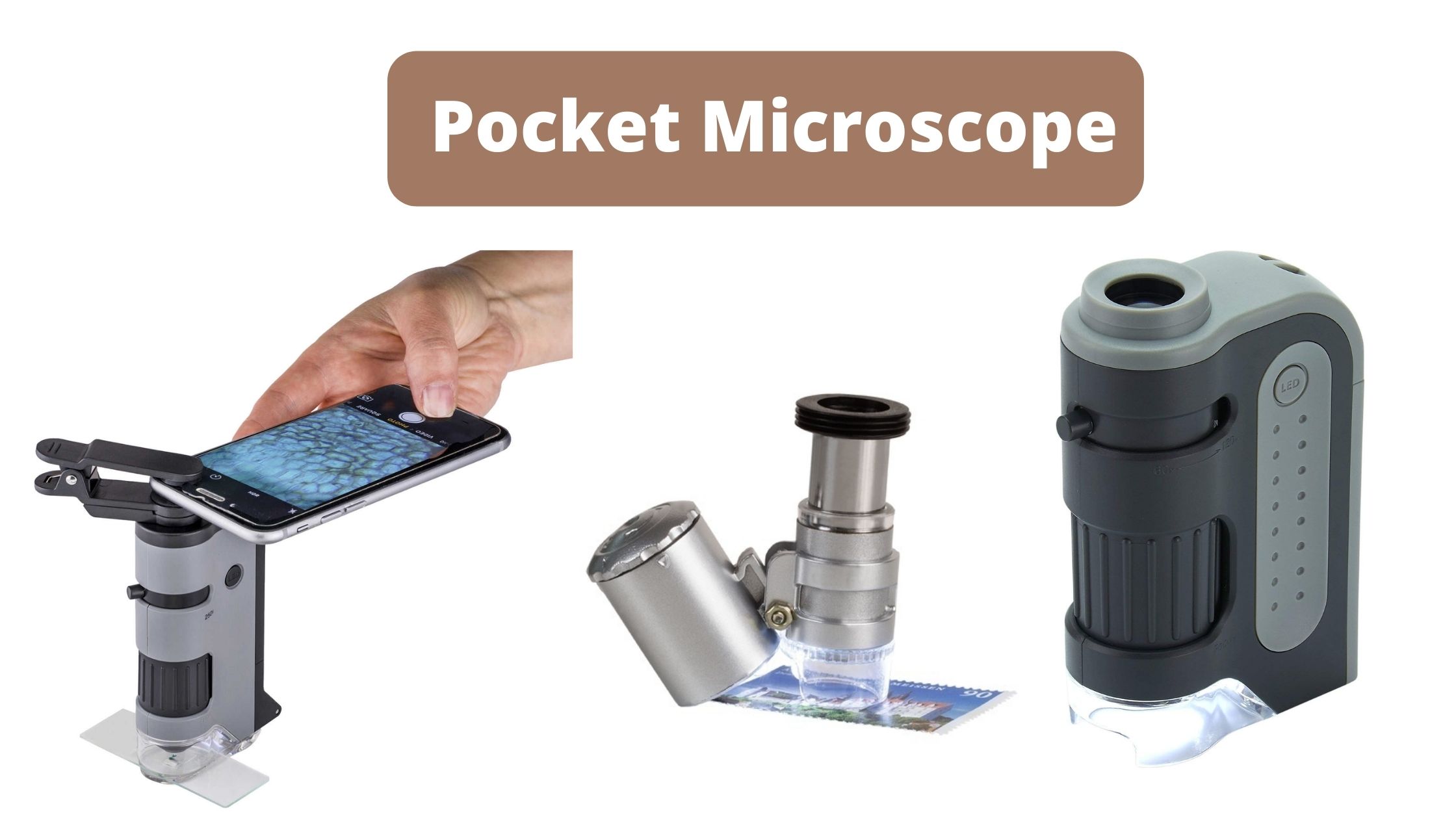 Pocket Microscope Definition, Principle, Application