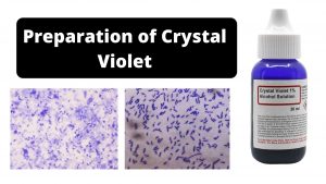 Preparation of Crystal Violet for the Gram Stain