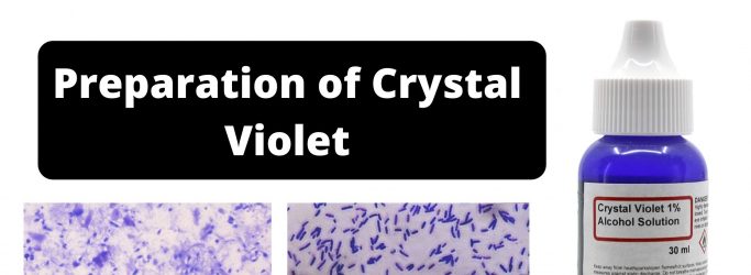 Preparation of Crystal Violet for the Gram Stain