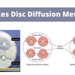 Stokes Disc Diffusion Method Principle, Procedure, Result.