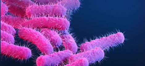 Top 16 Infectious and Deadliest Diseases Caused By Bacteria
