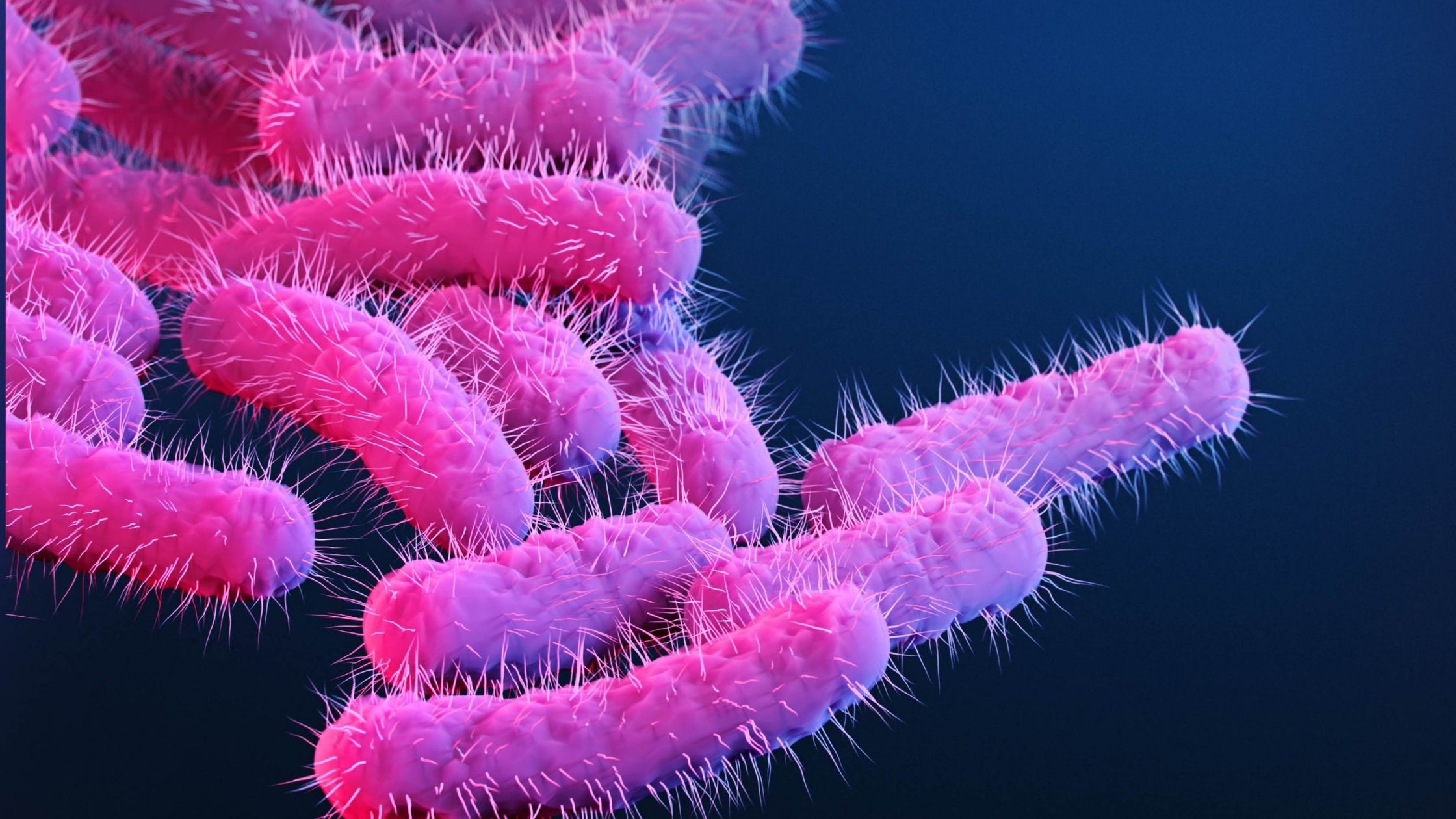 Top 16 Infectious and Deadliest Diseases Caused By Bacteria