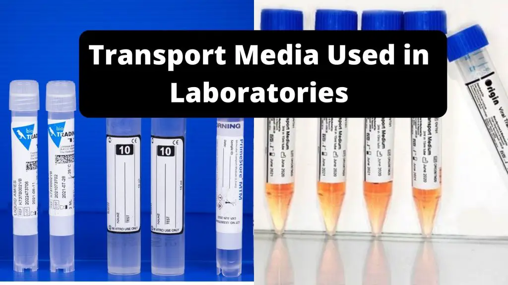 Transport Media Used in Laboratories