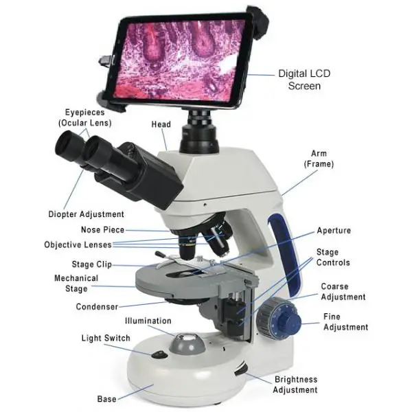 Части цифрового микроскопа