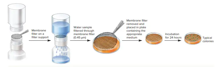 The Membrane Filtration Procedure