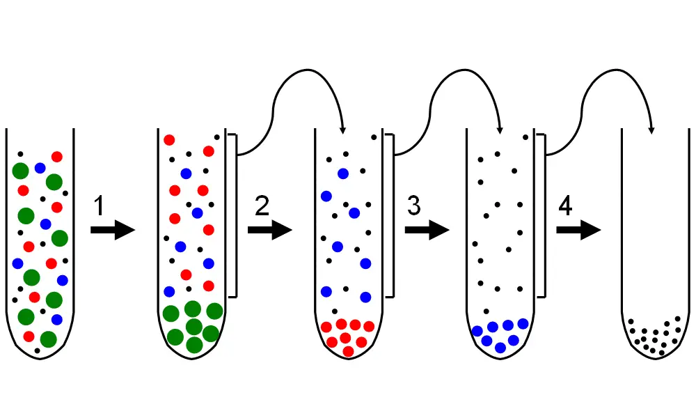 Principle of Differential centrifugation
