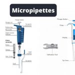 Micropipettes Components, Types, Applications, Techniques
