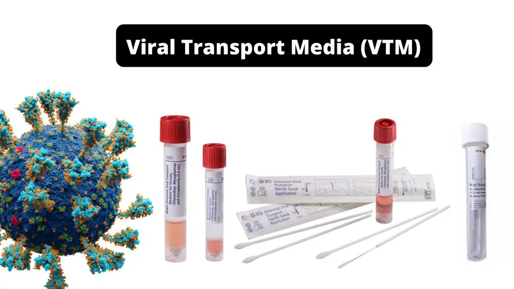 Viral Transport Media (VTM) Definition, Principle, Preparation, Application