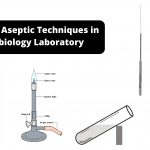 Different Aseptic Techniques in Microbiology Laboratory