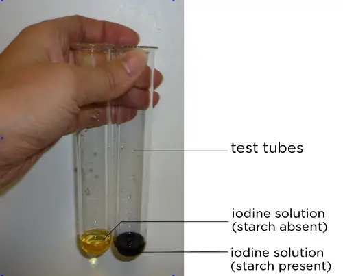 Result and Interpretation of Iodine Test