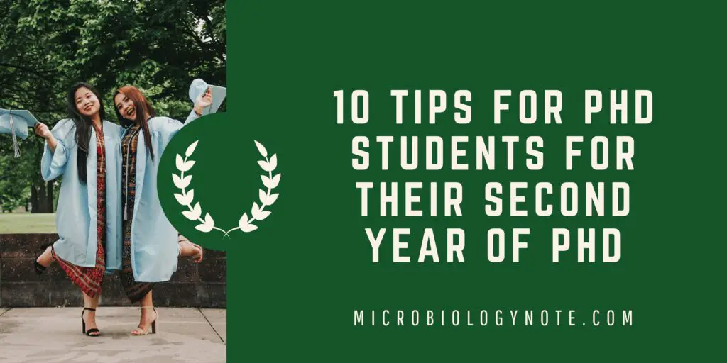 Here’s What No One Tells You About Top 10 Tips For PhD Students For Their Second Year Of PhD
