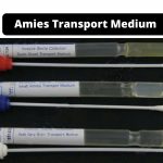 Amies Transport Medium Composition, Principle, Preparation, Results, Uses