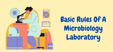 Laboratory Rules: Basic Rules Of A Microbiology Laboratory
