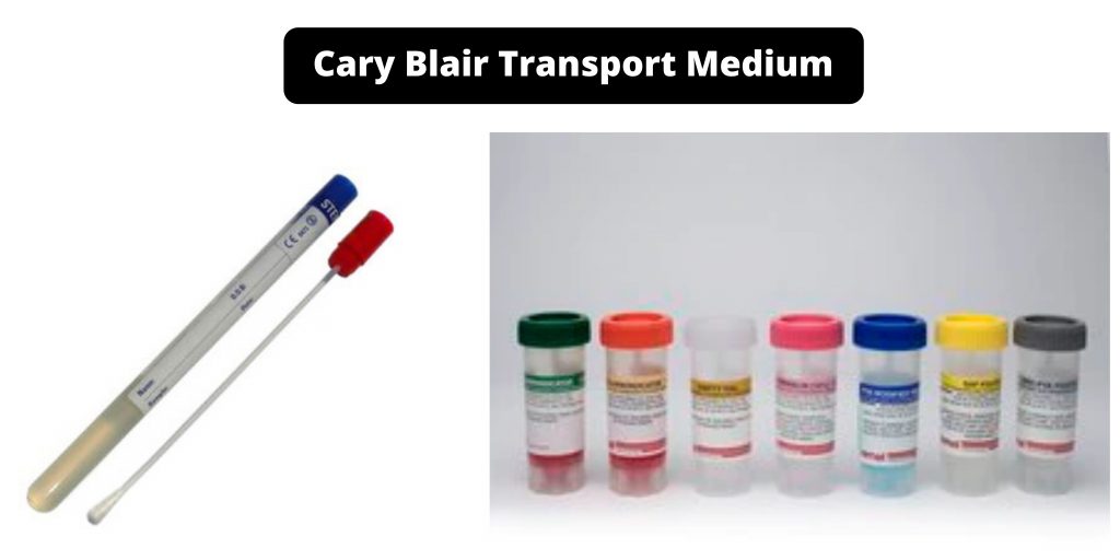Cary Blair Transport Medium Composition, Principle, Preparation, Results, Uses