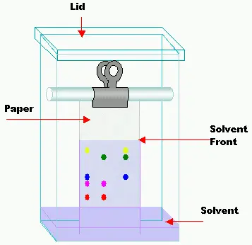 Diagram of a TLC (Thin Layer Chromatography) tank.
