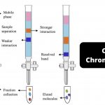 Column Chromatography Procedure, Instruments, Application, Advantages