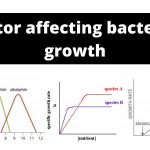 Factor affecting bacterial growth