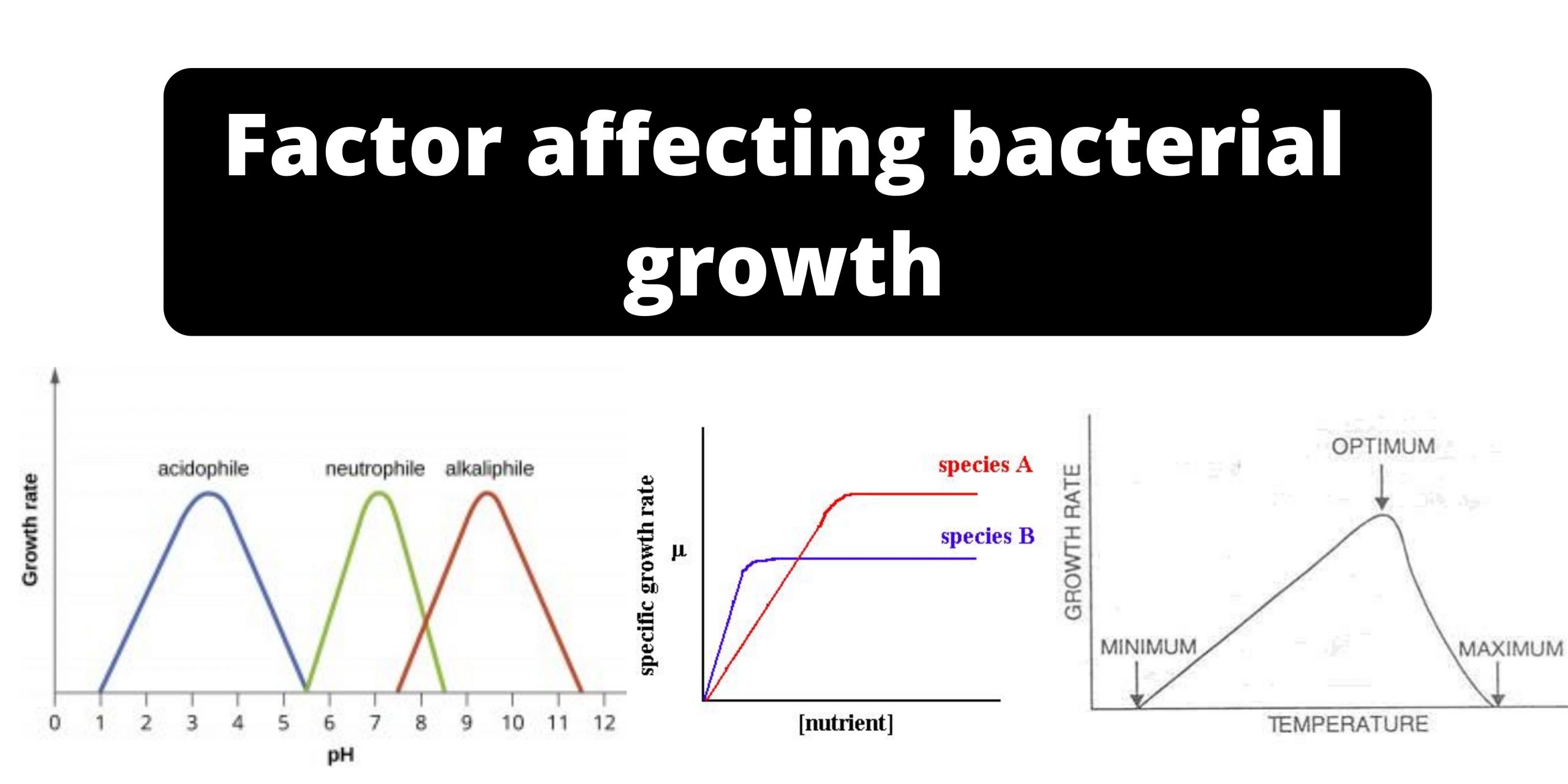 Factor affecting bacterial growth