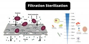 Filtration Sterilization Types, Mechanism, Uses