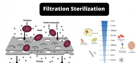 Filtration Sterilization Types, Mechanism, Uses