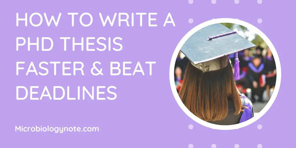 How to Write a PhD Thesis Faster and Beat Deadlines