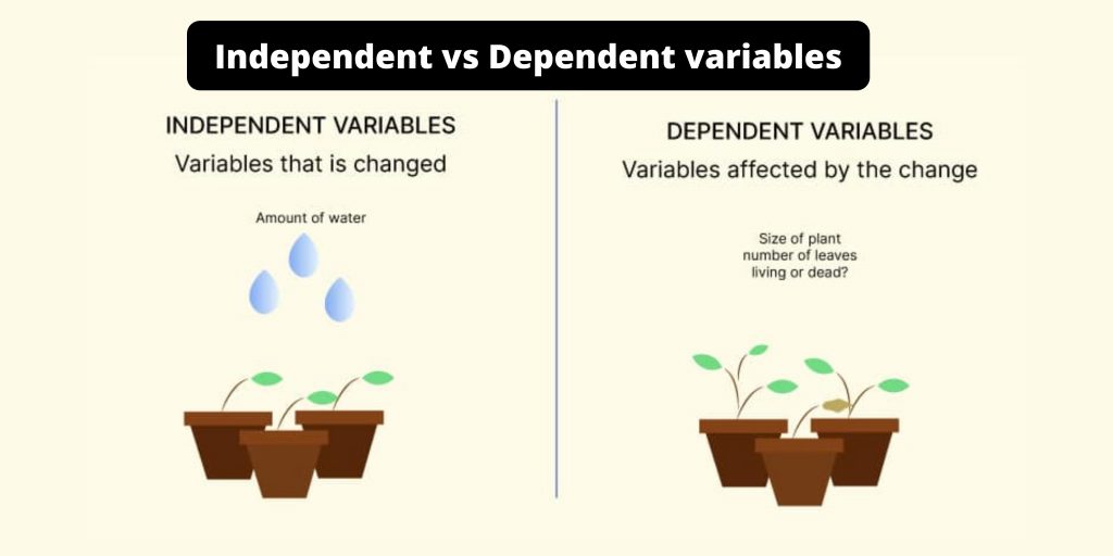 Difference Between Independent and Dependent variables